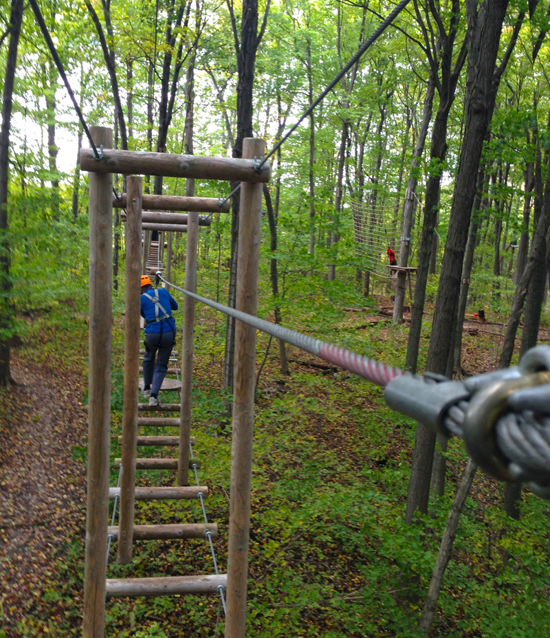 Tree top 'adventure' view